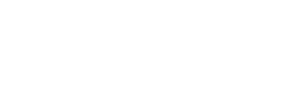 Leveltec